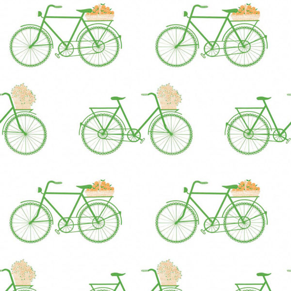 5435/002 Bicicletas verde de Gastón y Daniela